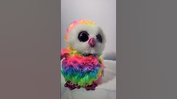 #BeanieBoos COLORS of the RAINBOW 🌈  #shorts