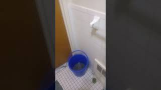 Zodiac Tons Abdul Qawiy Philippe Ali El Dey Non Crime