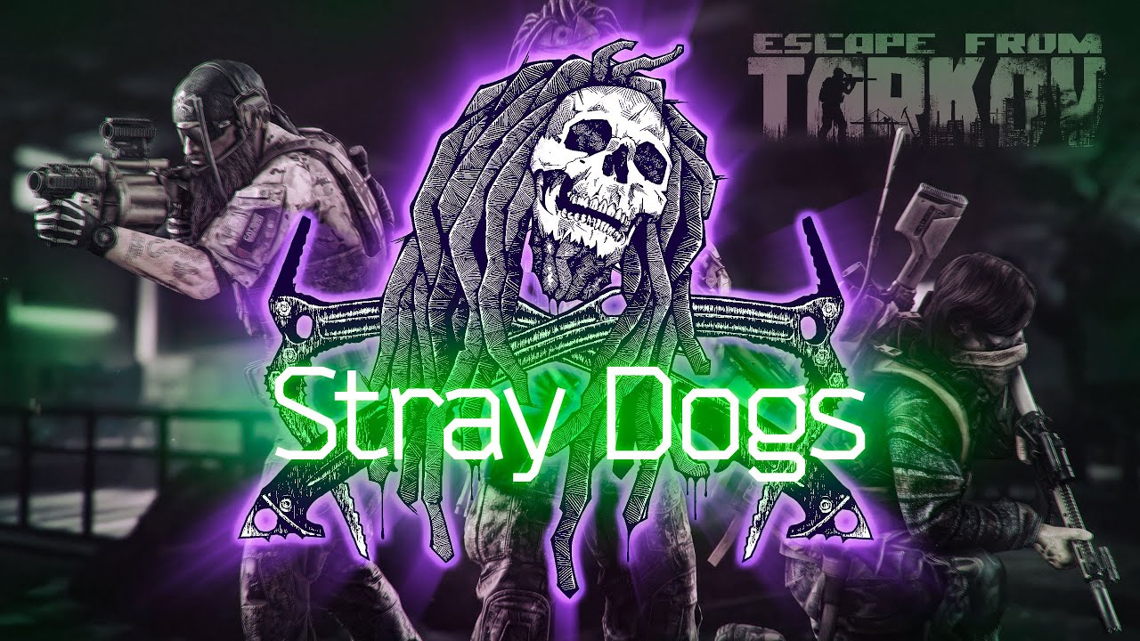 Stray Dogs YouTube