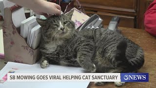 Viral content creator's Corpus Christi rescue mission