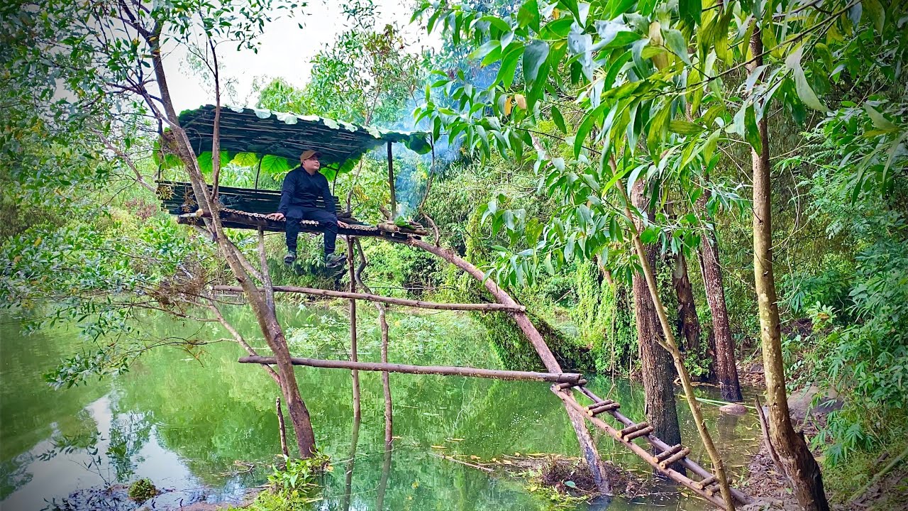 Alone in the Deep Forest: Building a Tree Shelter and Surviving the Rainy Night