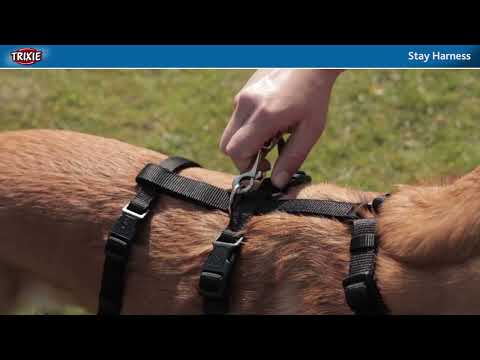 The Stay harness for skittish dogs - TRIXIE Heimtierbedarf - video from TRIXIE