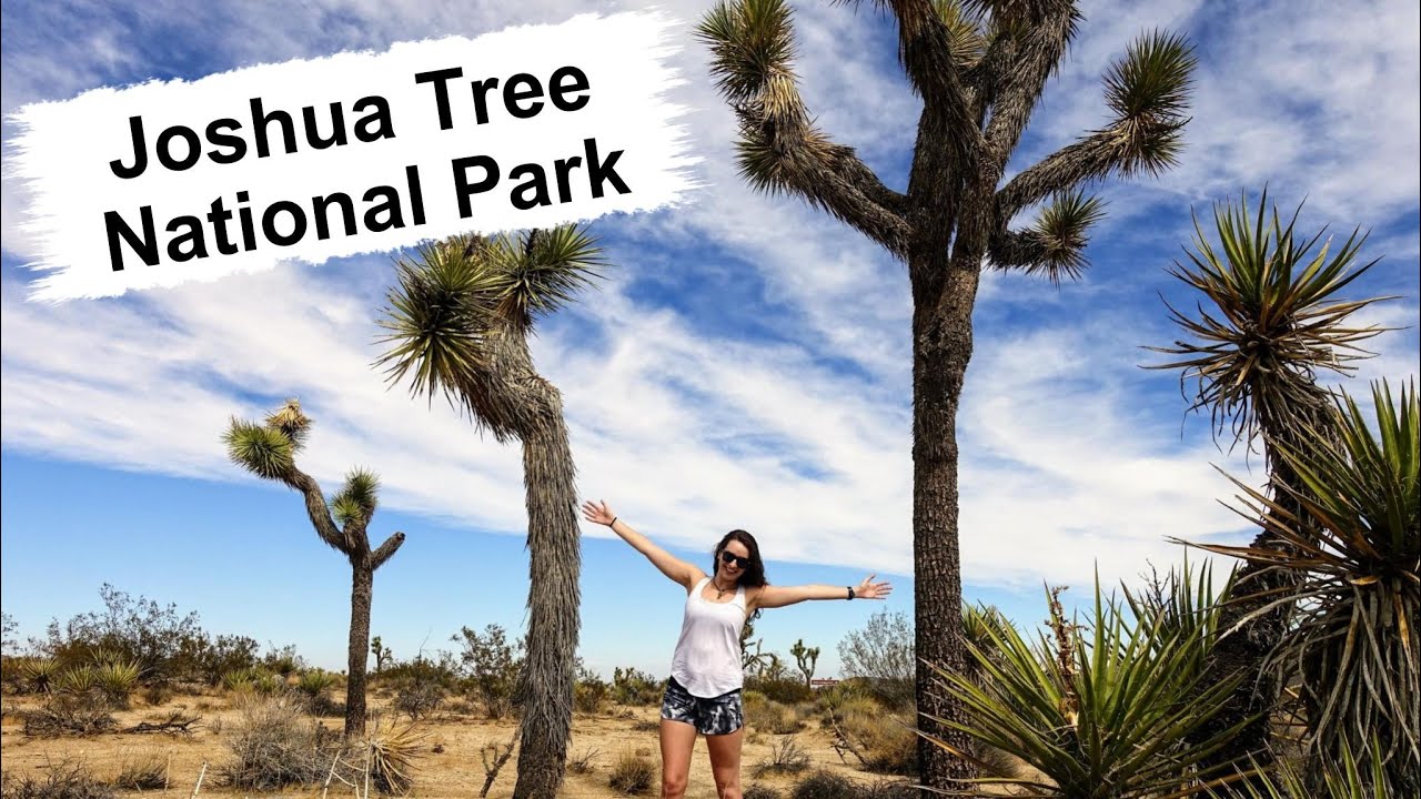 JOSHUA TREE NATIONAL PARK | Things To Do & Best Hiking