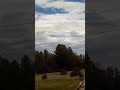 Windy day at the forest preserve