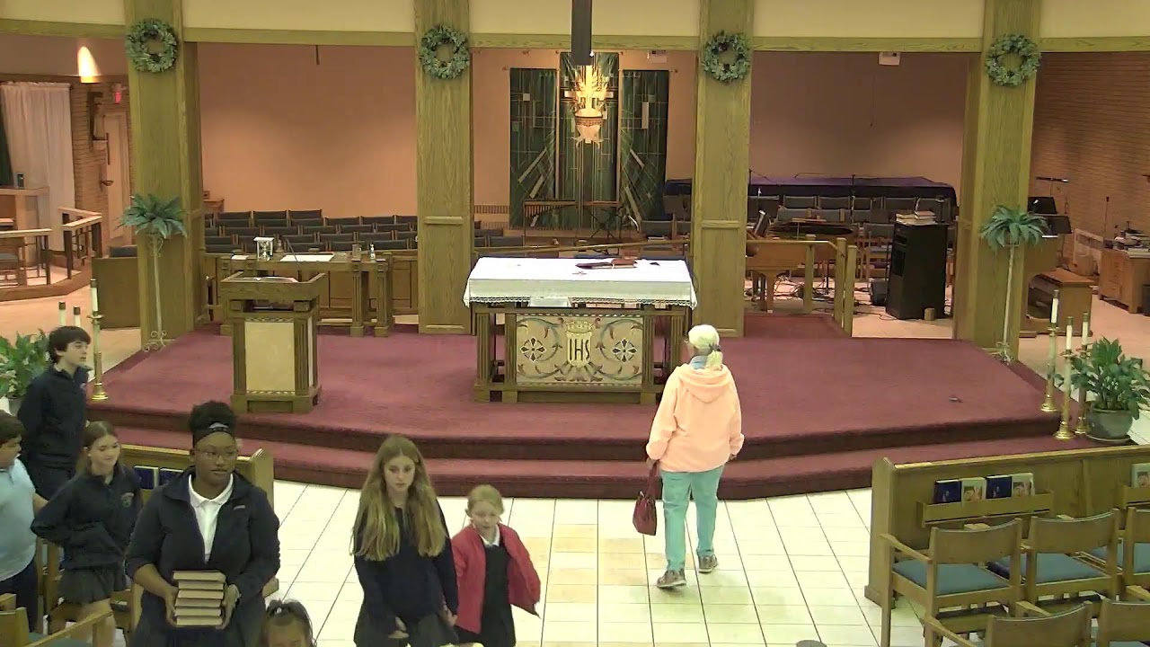 Our lady of lourdes cincinnati livestream youtube