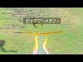 【ブレワイ(BotW)】生きた魚を凍りつく冷たさの川に逃がしてみた【ドリカラ】