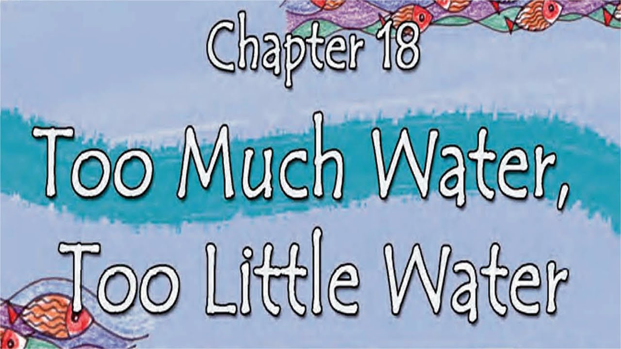 Too Much Water Too Little Water YouTube