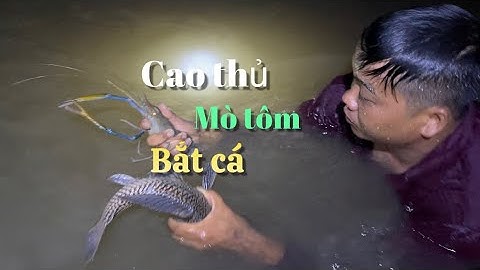 Nửa đêm đi mò Tôm Càng Xanh bắt cá cùng các cao thủ về nấu lẩu mắm ăn quá đã | Cldv #470