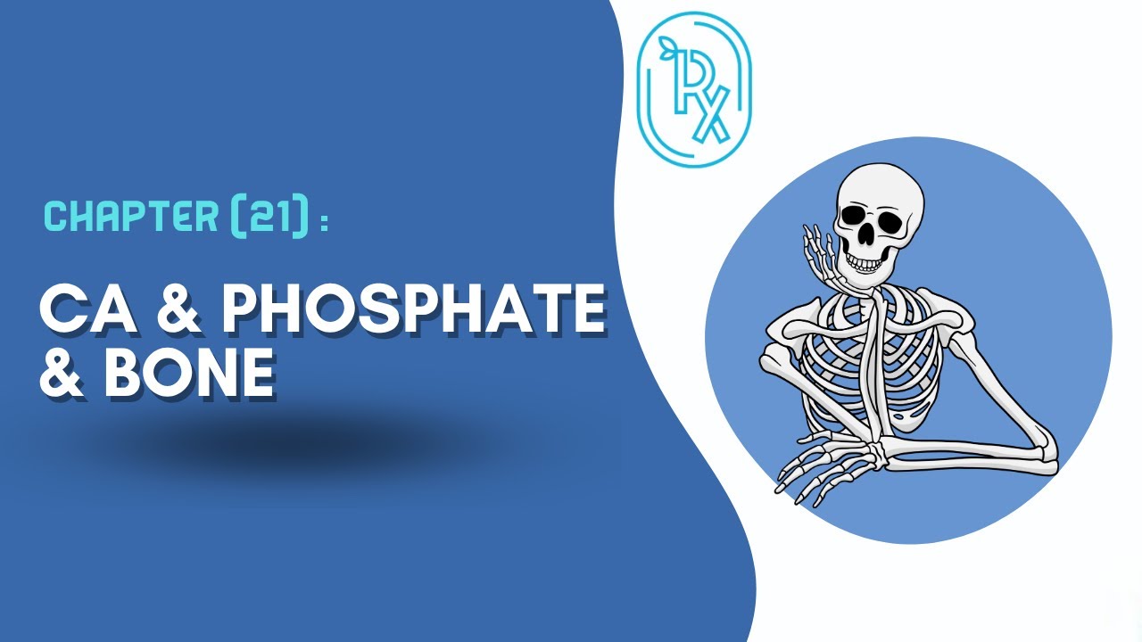 مراجعة الفسلجة المركزة - Chapter 21 : Ca & phosphate & bone
