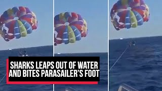 Shocking moment sharks leaps out of water and bites PARASAILER’S FOOT at Red Sea resort | Cobrapost