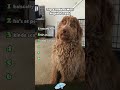 RANKING 32- #RankingList #TrendingVideos #FunnyClips #DailyContent #tiktok