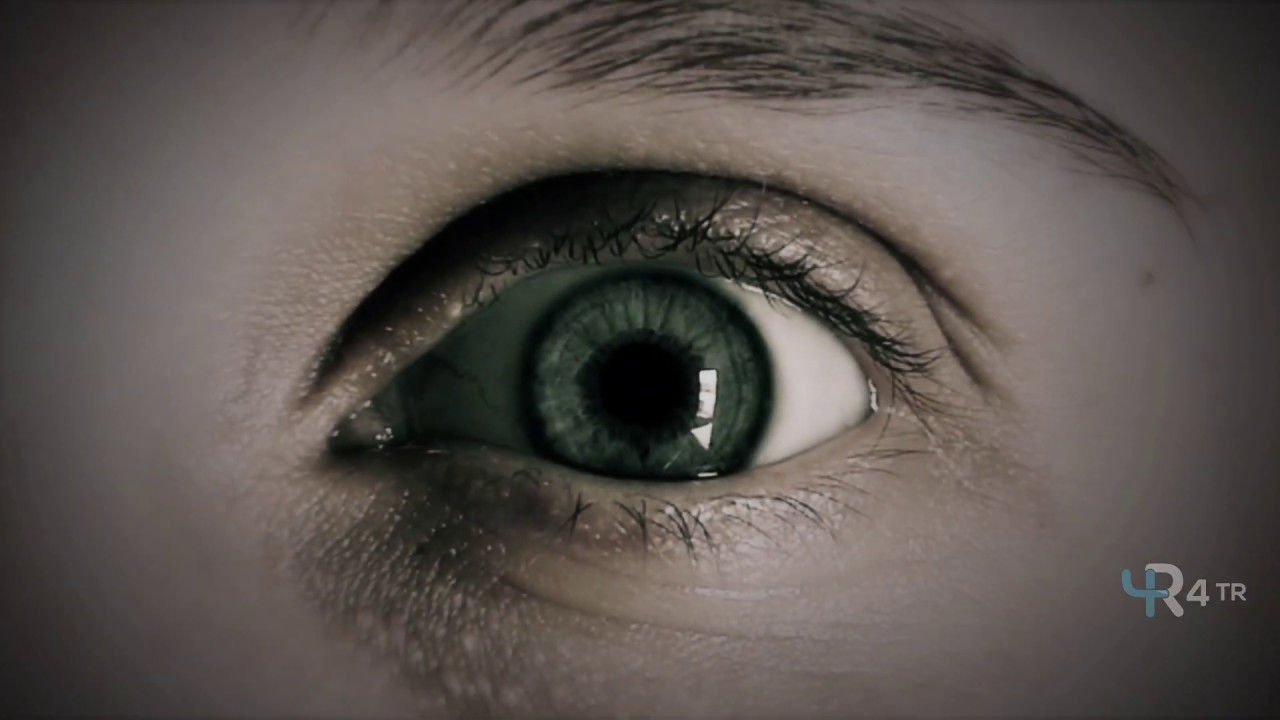 Travel Retail Expert? Join Us&Amplify Our Reach!Discover 4TRs Vision for the Future of Travel Retail