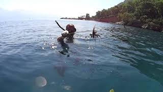 Fethiye Darboğazda Mükemmel Deniz Caretta Caretta Dev Kalkan Ahtapot Aslan Ve Boru Balığı 2020