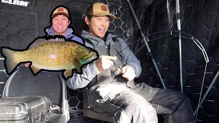 Sight Fishing Giant Smallmouth Bass Through the Ice!