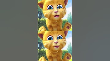 Con mèo biết nói #shorts