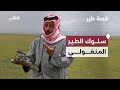 رحلة صيد الصقور وأساليب التمييز بين أنواع الصقور ومعلومات عن الطير المنغولي قصة طير 