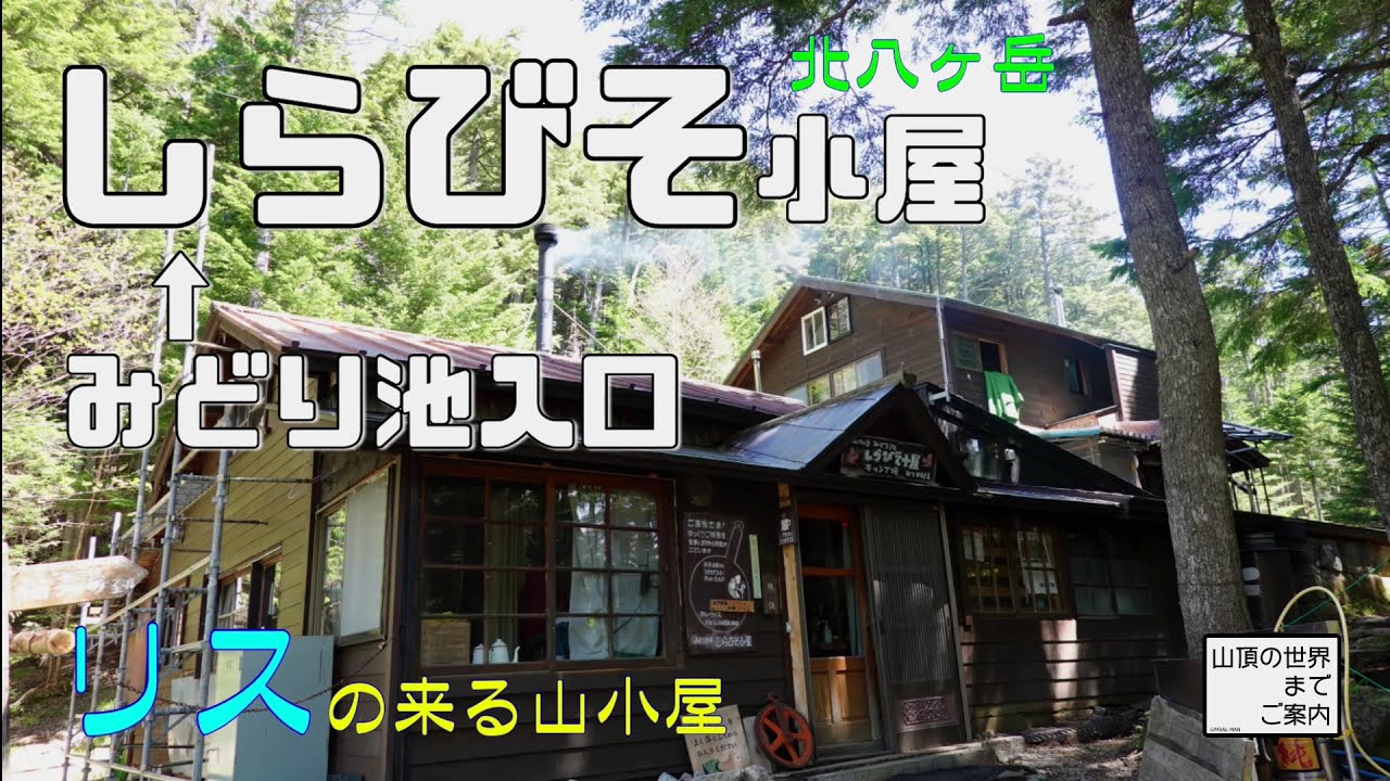 【登山】しらびそ小屋 -リスの来る山小屋-
