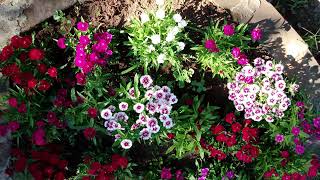 Cidade De Lajeado - Rs