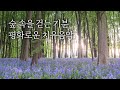 숲을 걷는 효과 10분만에 머리가 맑아져요 5시간 치유음악 힐링음악 새소리 White Noise The Sound Of Birds In The Forest