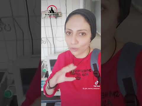 أرخص مستشفي بيطري فى مصر وشاملة كل حاجة لحد العمليات