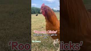 Download Lagu arti suara ayam MP3