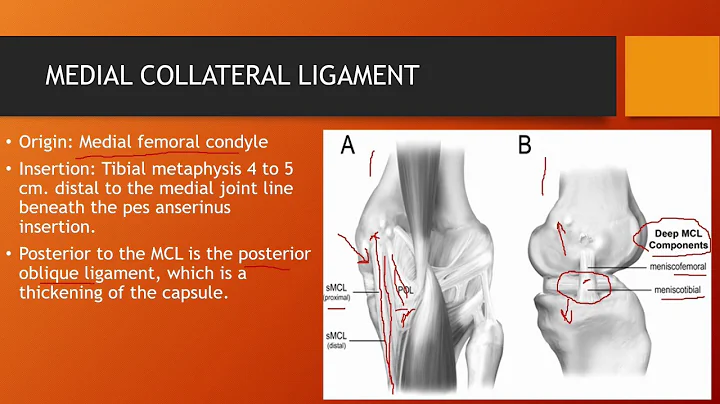Instabilities of the Knee  Perry J. Carpenter DC QME, www.ezcontinuingeducation.org