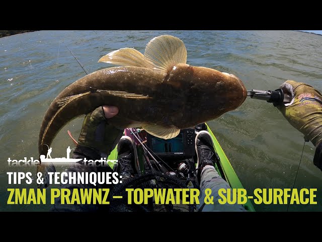 ZMan 2.5 PrawnZ - Fishing Topwater and Sub Surface 