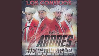 Video thumbnail of "Los Varones de Culiacán - El De La Frontera"