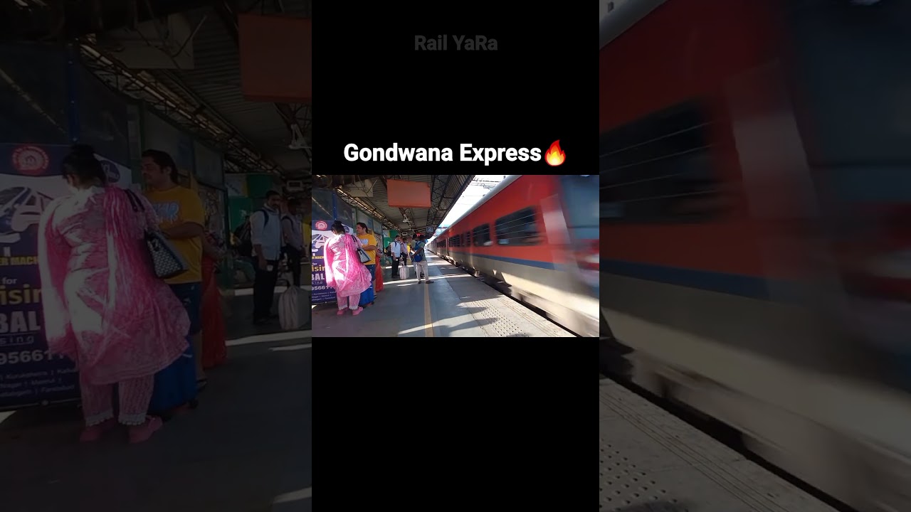 Gondwana Express🔥