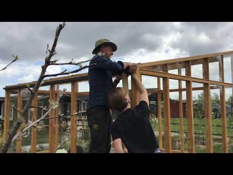 Video: Hvordan henge et maleri på en gipsvegg: 13 trinn