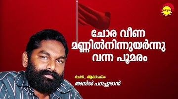 Choraveena | Arabikkatha | Anil Panachooran | Bijibal