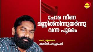 Choraveena | Arabikkatha | Anil Panachooran | Bijibal