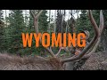 WHAT YOU NEED TO KNOW - Wyoming Application Strategy