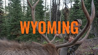 WHAT YOU NEED TO KNOW - Wyoming Application Strategy screenshot 5