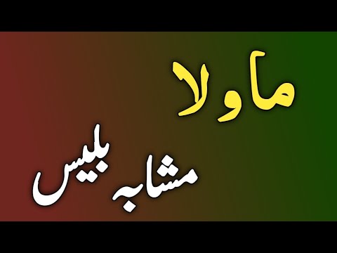  32      ما و لا مشابہ بلیس