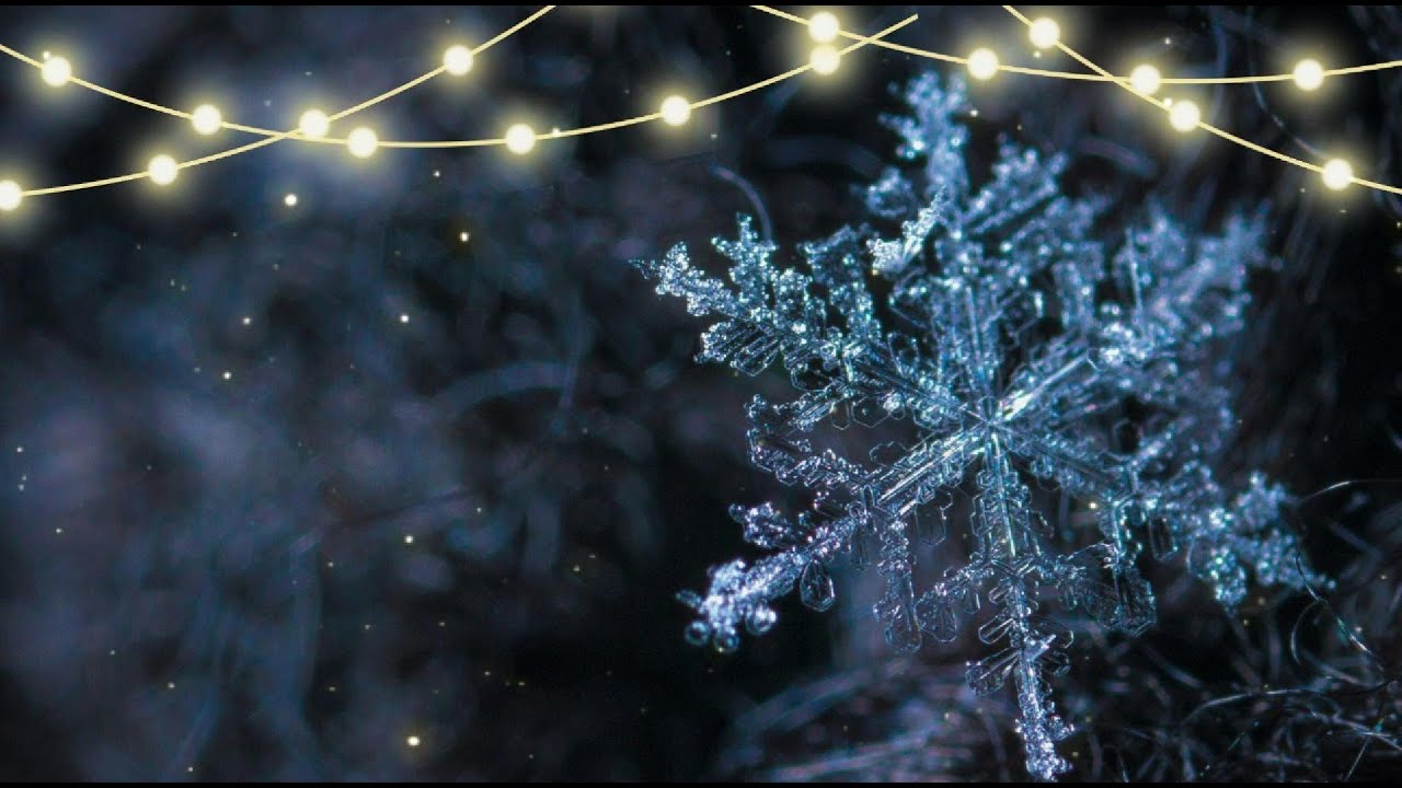 Quiet Winter Night – Piano Music with Gentle Snowfall for Emotional Healing