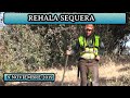 REHALA SEQUERA 2019 | MONTERÍA en Andújar