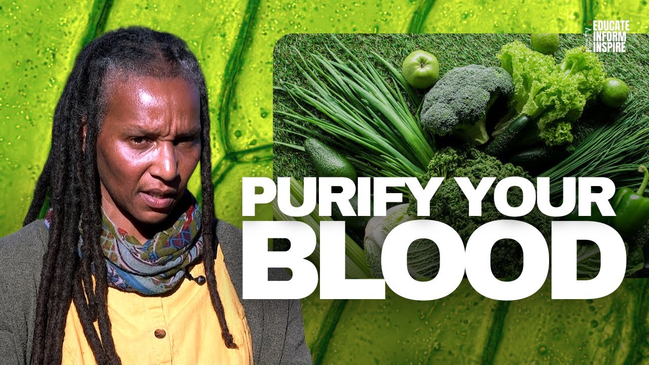 Почему хлорофилл так полезен для очищения крови и улучшения кровообращения