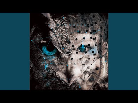 トロイメライ (instrumental)