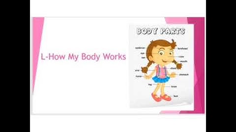 Class 2 EVS L- How My Body Works