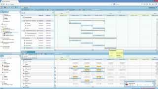 Projektmanagement Software und Aufgabenverwaltung - Schnelleinstieg in RS TaskGroup