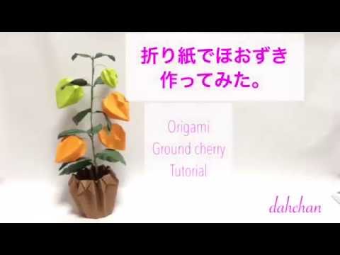 折り紙でほおずきを作ってみた Origami Ground Cherry Tutorial Youtube
