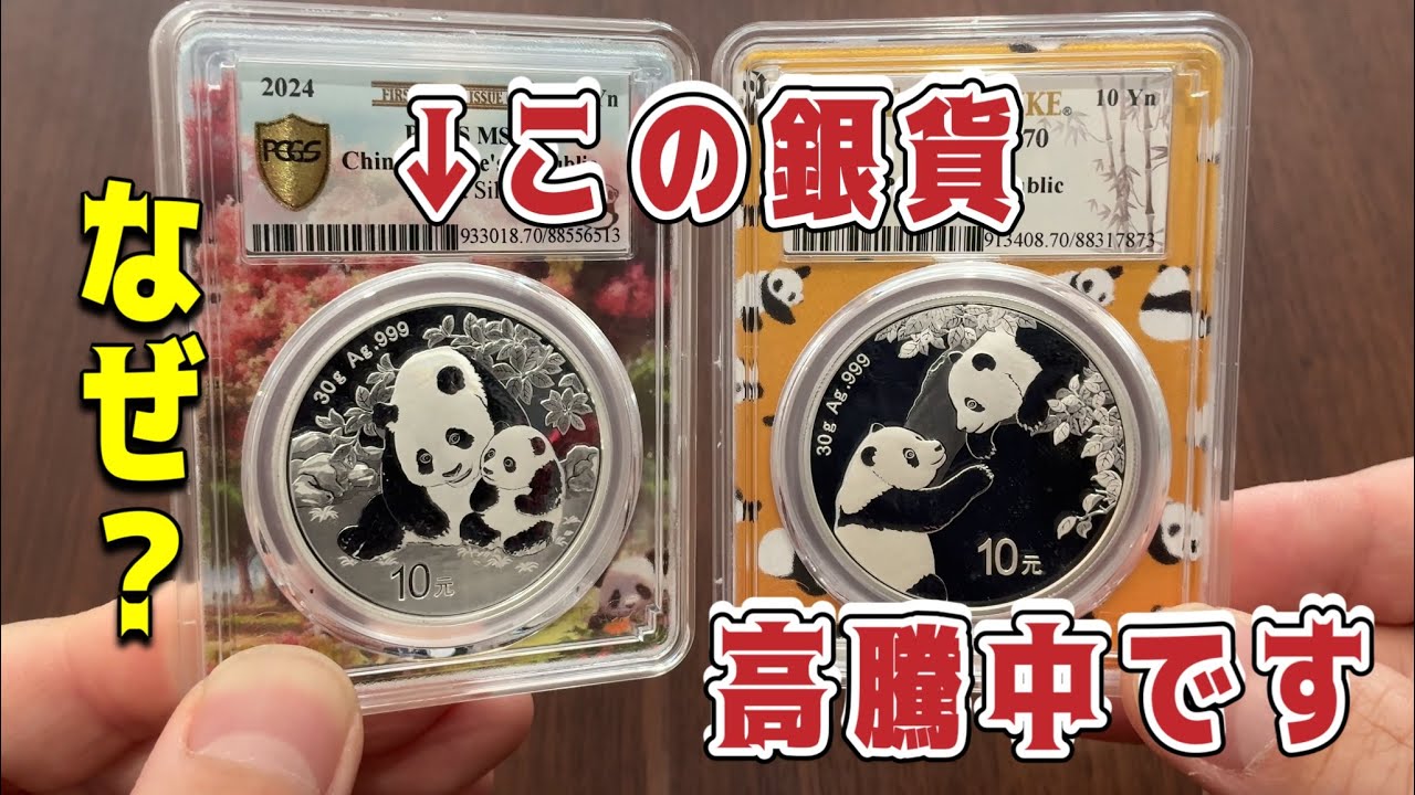 【銀貨収集】ナゾに高騰中のパンダ銀貨をご紹介！