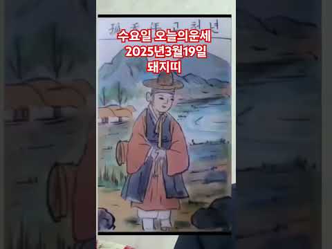 <strong>돼지띠</strong> <strong>오늘의운세</strong> 2025년3월19일 운세 #운세 #<strong>오늘의운세</strong> #돼지띠운세