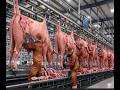 Inside the Black Bull Horn Leather Factory | How Premium Luxury Leather Products Are Made
