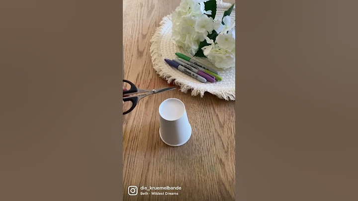 Projektor aus einem Pappbecher