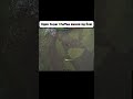 Super Chaffee знищив 3 танки та вирішив бій 💥 #shorts