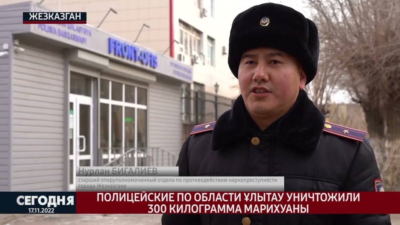 Полицейские по области Ұлытау уничтожили 300 килограмма марихуаны