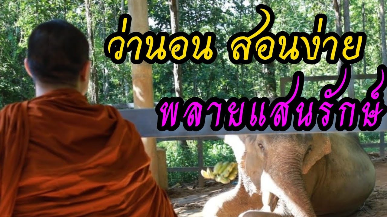 พลายแสนรักษ์ ว่านอนสอนง่าย 