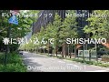 春に迷い込んで - SHISHAMO